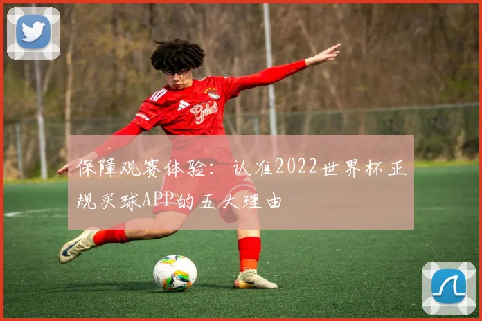 保障观赛体验：认准2022世界杯正规买球APP的五大理由