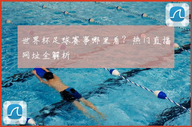 世界杯足球赛事哪里看？热门直播网址全解析