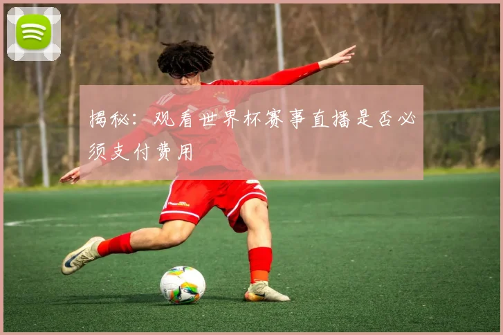 揭秘：观看世界杯赛事直播是否必须支付费用