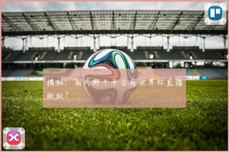 揭秘：国内哪个平台有世界杯直播版权？
