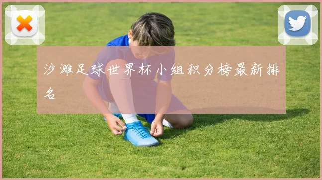 沙滩足球世界杯小组积分榜最新排名