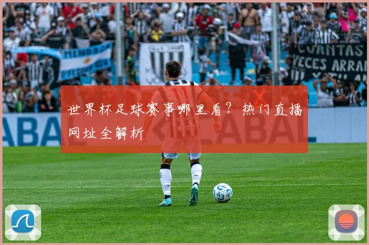 世界杯足球赛事哪里看？热门直播网址全解析