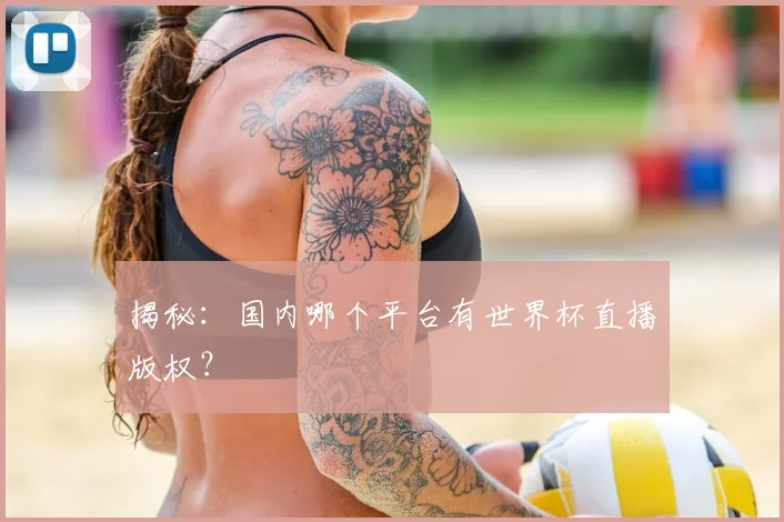 揭秘：国内哪个平台有世界杯直播版权？