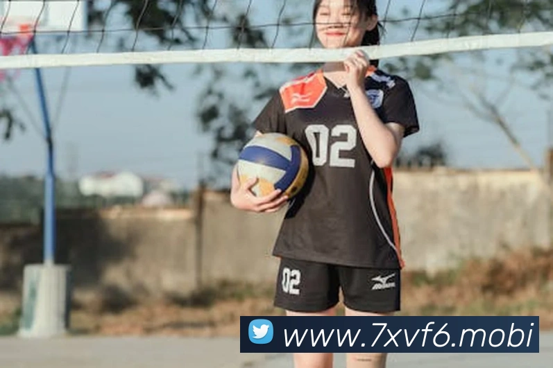 开云手机在线官网登录APP 封面图